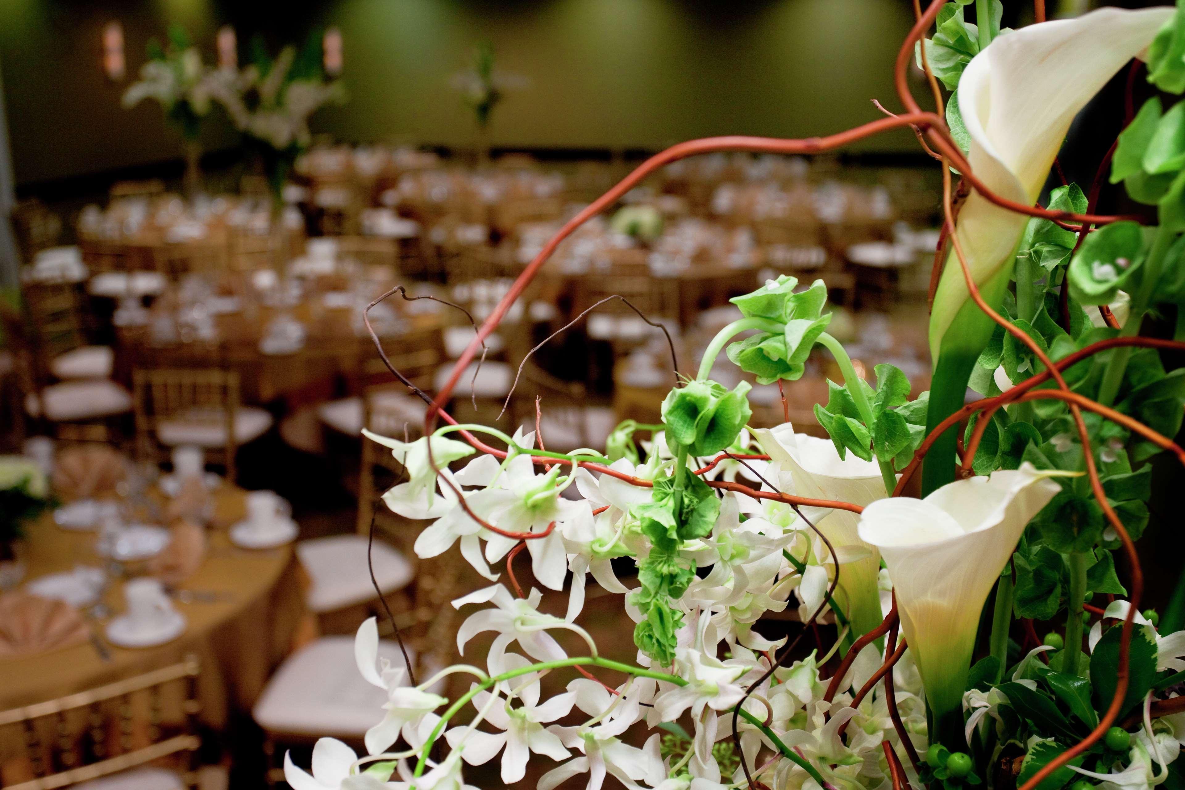 Hilton Garden Inn Seattle/בות'ל מראה חיצוני תמונה